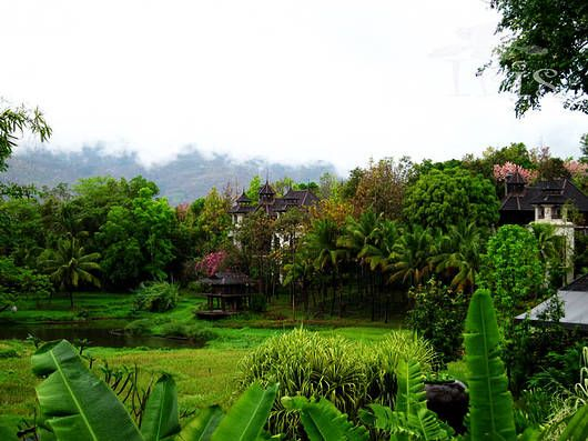 丛林环绕的栋栋小屋 丛林环绕的栋栋小屋