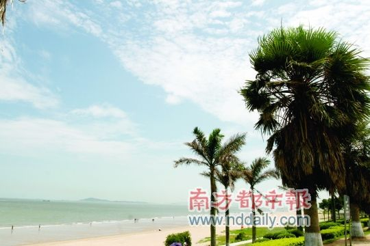 厦门环岛路,海滩、椰子树、蓝天、白云…… 厦门环岛路,海滩、椰子树、蓝天、白云……