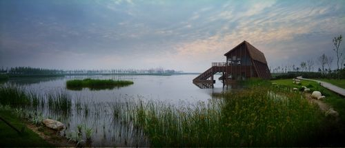 东滩湿地公园 东滩湿地公园
