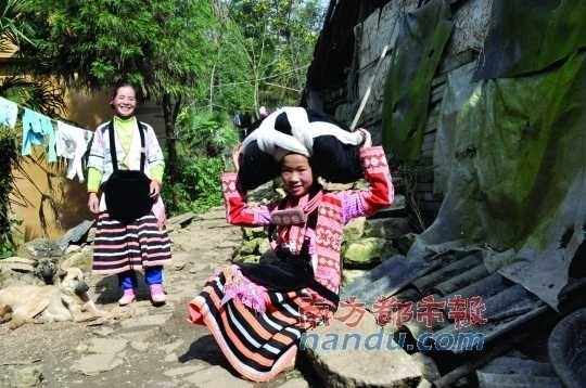 现在梭戛乡中一般妇女头上的头饰,木梳及盘上的长发等约2-3公斤左右。 现在梭戛乡中一般妇女头上的头饰,木梳及盘上的长发等约2-3公斤左右。