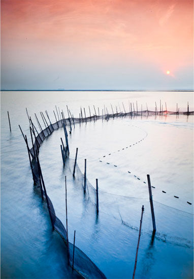 渔网围起的美好 渔网围起的美好