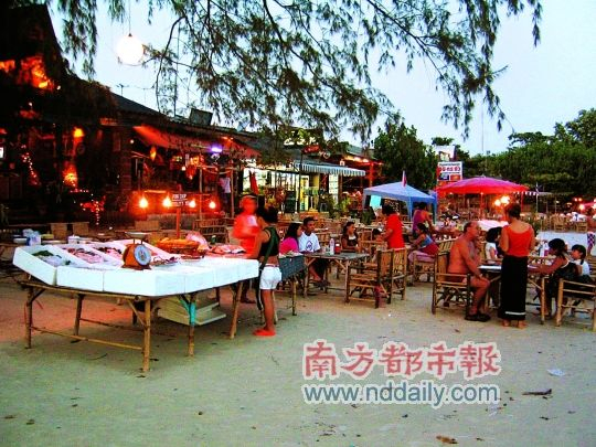 入夜,岛上的生活也开始丰富起来。 入夜,岛上的生活也开始丰富起来。