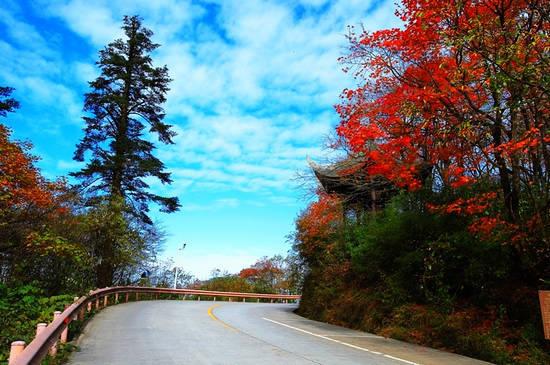 新浪旅游配图:峨眉山 摄影:七色地图 新浪旅游配图:峨眉山 摄影:七色地图