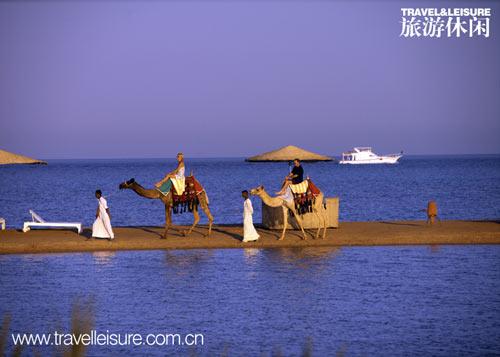 埃及 与海对话 埃及 与海对话