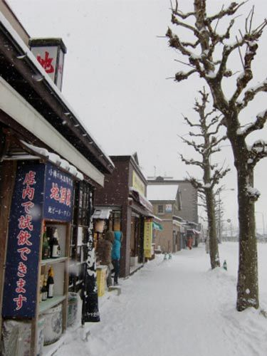 冬季的北海道 冬季的北海道