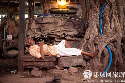 大树底下好乘凉 大树底下好乘凉