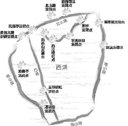 西湖赏荷图 西湖赏荷图