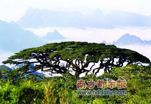 大瑶山 大瑶山