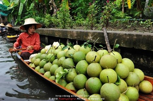 新浪旅游配图:水上市场 摄影:阮导 新浪旅游配图:水上市场 摄影:阮导