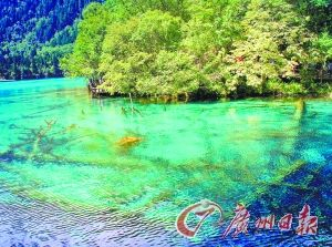 九寨沟 九寨沟