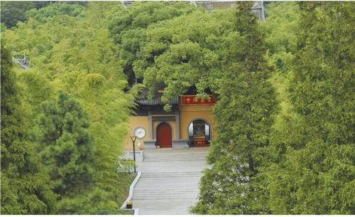 宝岩杨梅节 宝岩杨梅节