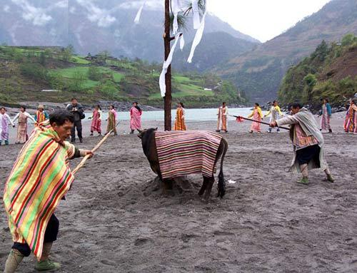 剽牛祭祀
