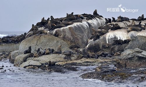 德克岛 德克岛