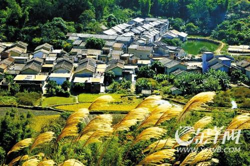 增城美景