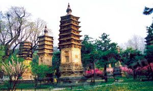 潭柘寺塔林 潭柘寺塔林