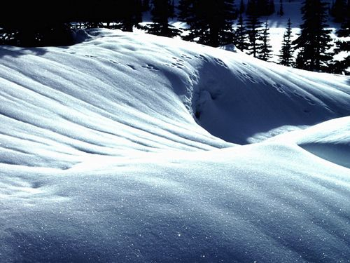 大兴安岭 大兴安岭的雪