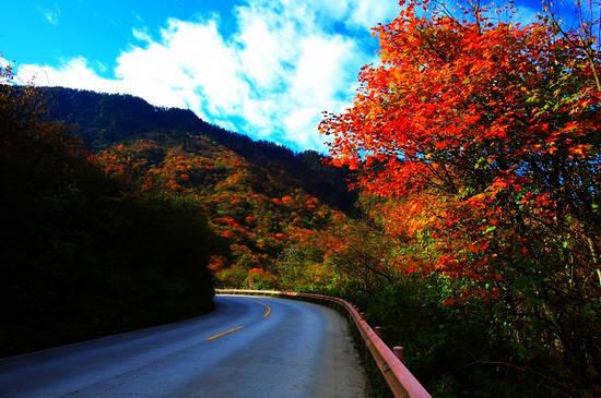 新浪旅游配图:峨眉山 摄影:七色地图 新浪旅游配图:峨眉山 摄影:七色地图