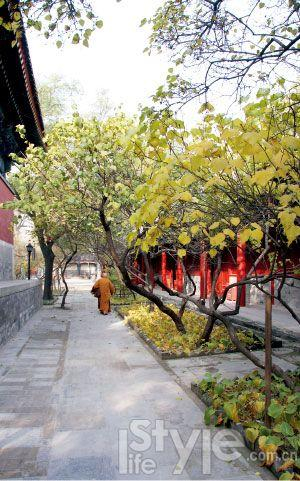 北京最老的寺院 北京最老的寺院