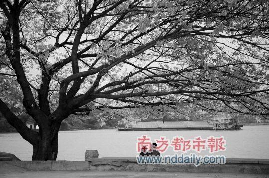 校园风光 大学城环境清幽 伍世然 摄