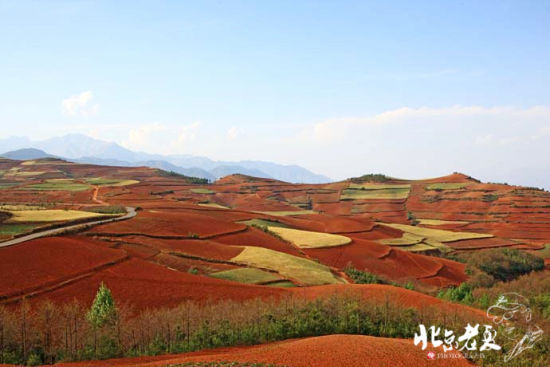 像一块块调色板遗落在大地 像一块块调色板遗落在大地