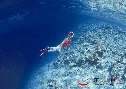 潜水 潜水