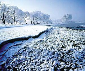 雪树、冰石、冰湖,冰花烂漫、神奇万千 雪树、冰石、冰湖,冰花烂漫、神奇万千
