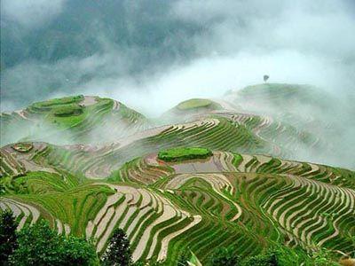 云雾中的哈尼梯田(图:百度搜索引擎) 云雾中的哈尼梯田(图:百度搜索引擎)