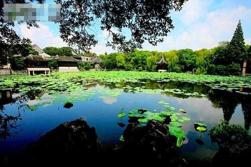 小莲庄的荷塘
