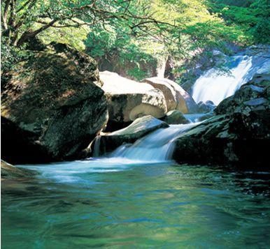 婺源县大鄣山卧龙谷旅游区