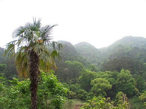 贵阳森林公园
