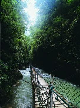 重庆万盛黑山谷生态旅游区