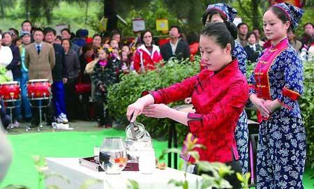 品味佛茶韵 感悟普陀情