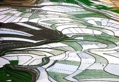 平乐瑶族乡迷人的田野