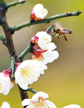 点击图片进入下一页