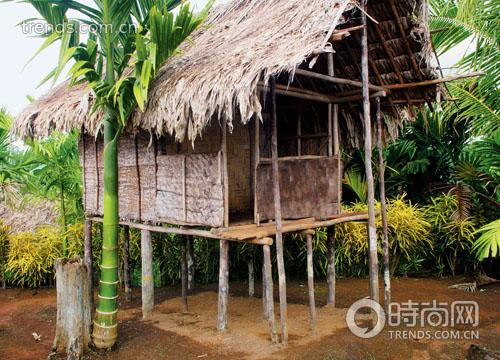丛林中的茅草屋