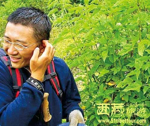 路上带刺的草和灌木种类不少