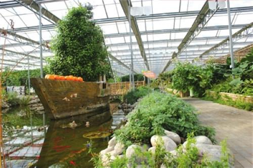 温室展示大棚内四季如春