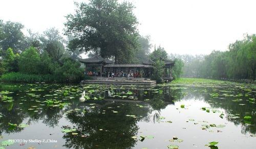 近春园