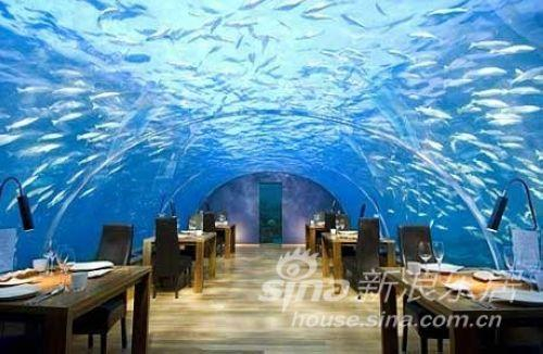 马尔代夫的海底餐厅( Ithaa Undersea Restaurant )