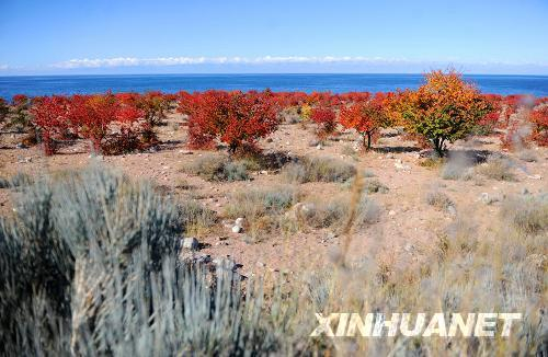 这是10月18日在吉尔吉斯斯坦伊塞克湖州热吉—奥古兹地区拍摄的伊塞克湖美景。