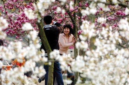花红柳绿的西湖春天让游人陶醉其中 新华社记者 王定昶 摄