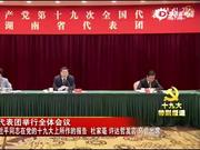 湖南代表团举行全体会议 审议党的十九大报告