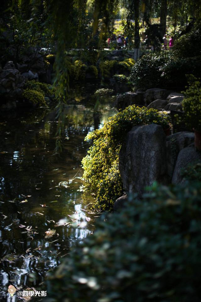 闺蜜两日游丨从泉到山 <wbr>大济南的小而美