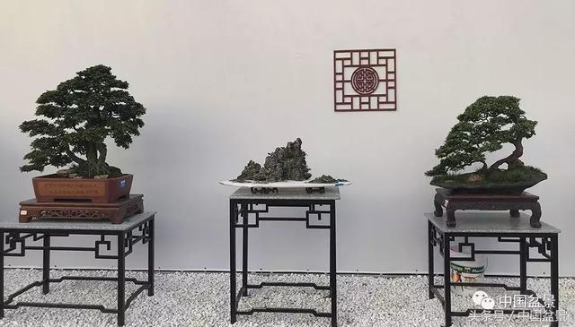 2018国际盆景协会中国会员盆景精品展暨中国盆景邀请展隆重开幕