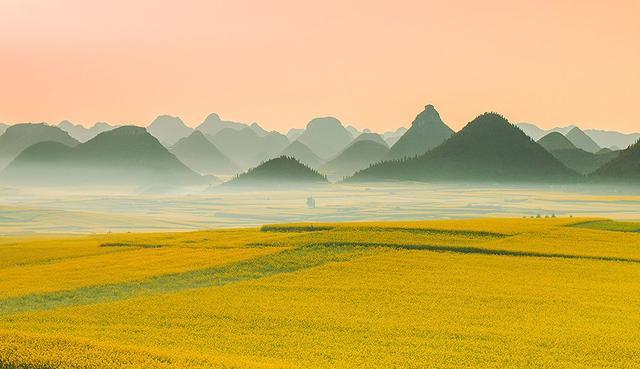 中国最美油菜花赏花地图