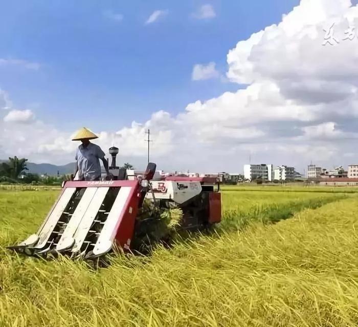 那些沉默的村庄