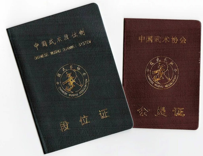 武术“国考”咋考？进来了解一下！