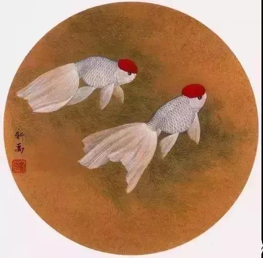 金鱼工笔画法