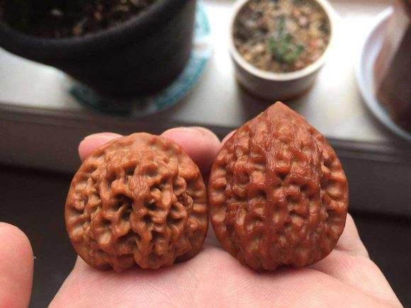 官帽文玩核桃不等于王勇官帽