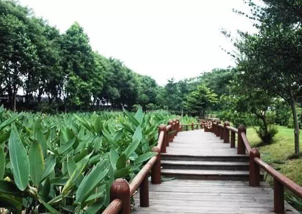 带你看全广州19个湿地公园，吃喝玩乐，周末走起！